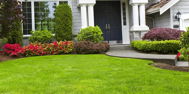 Lawn Care services in Clinton