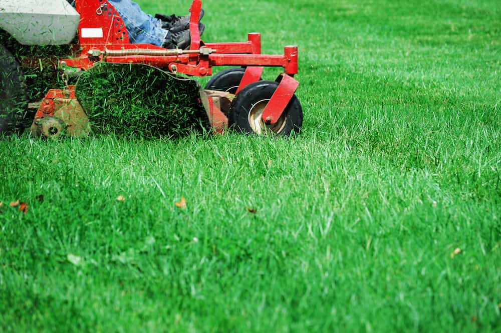 Clinton Lawn Care — professional lawn care in Clinton
