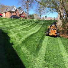 Lawn Maintenance project 2