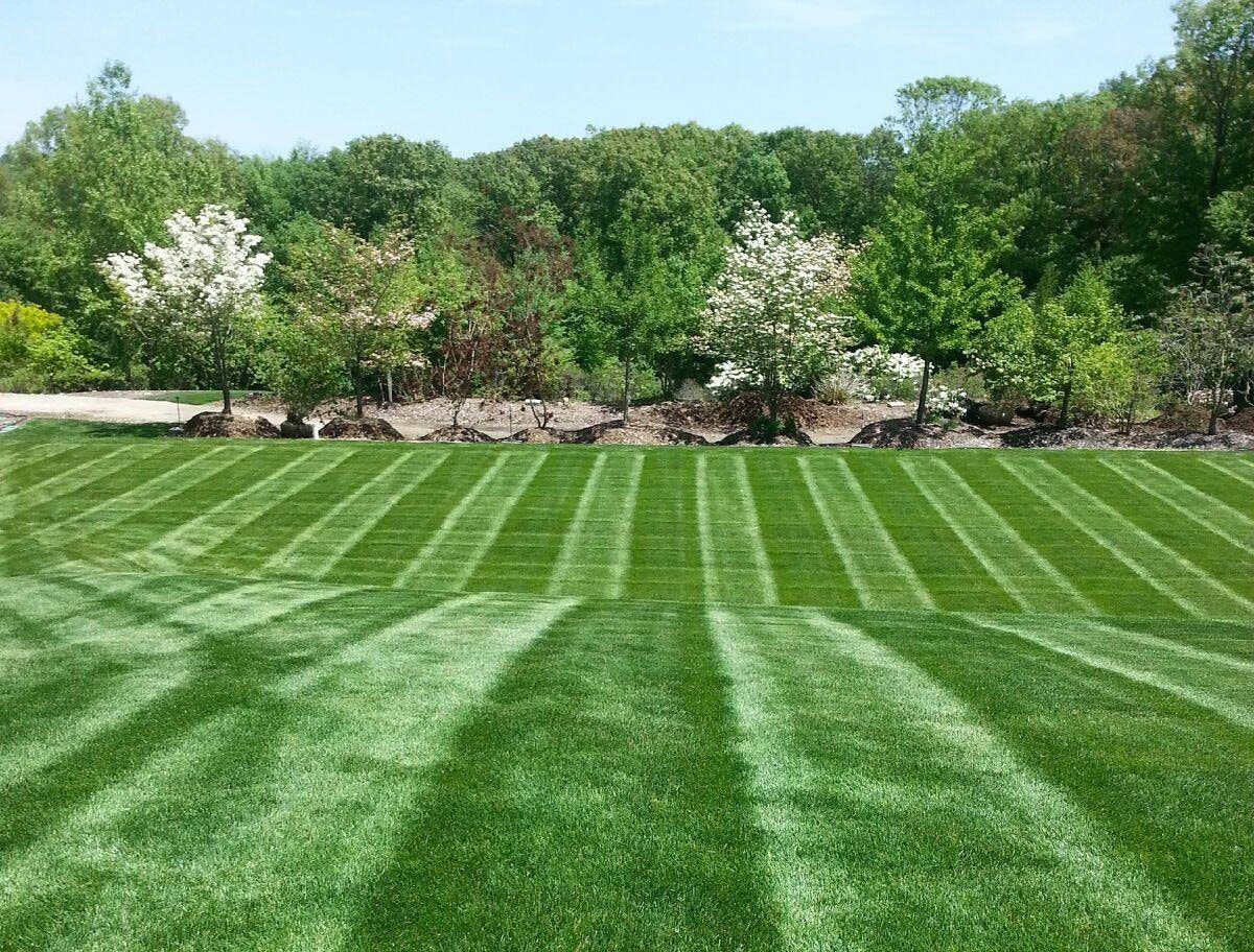 Lawn Maintenance project 3