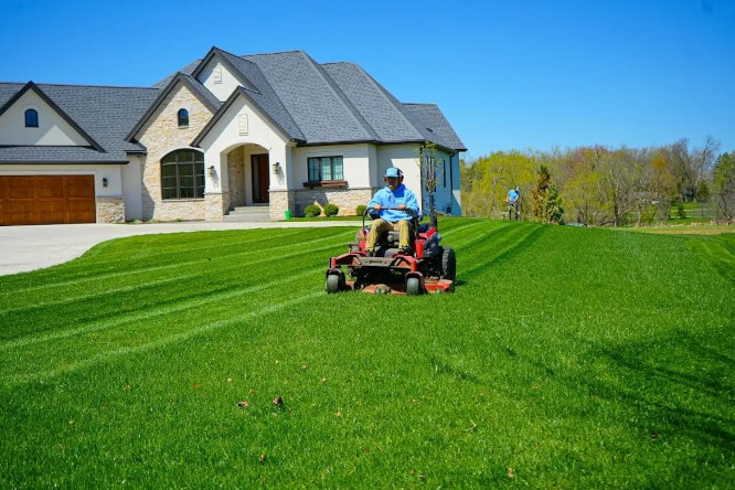 Lawn Maintenance project 4