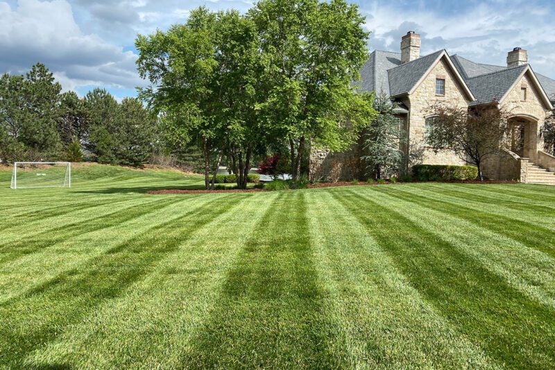 Lawn Maintenance project 5