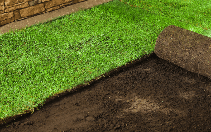 Sod Installation Services in Clinton, IA